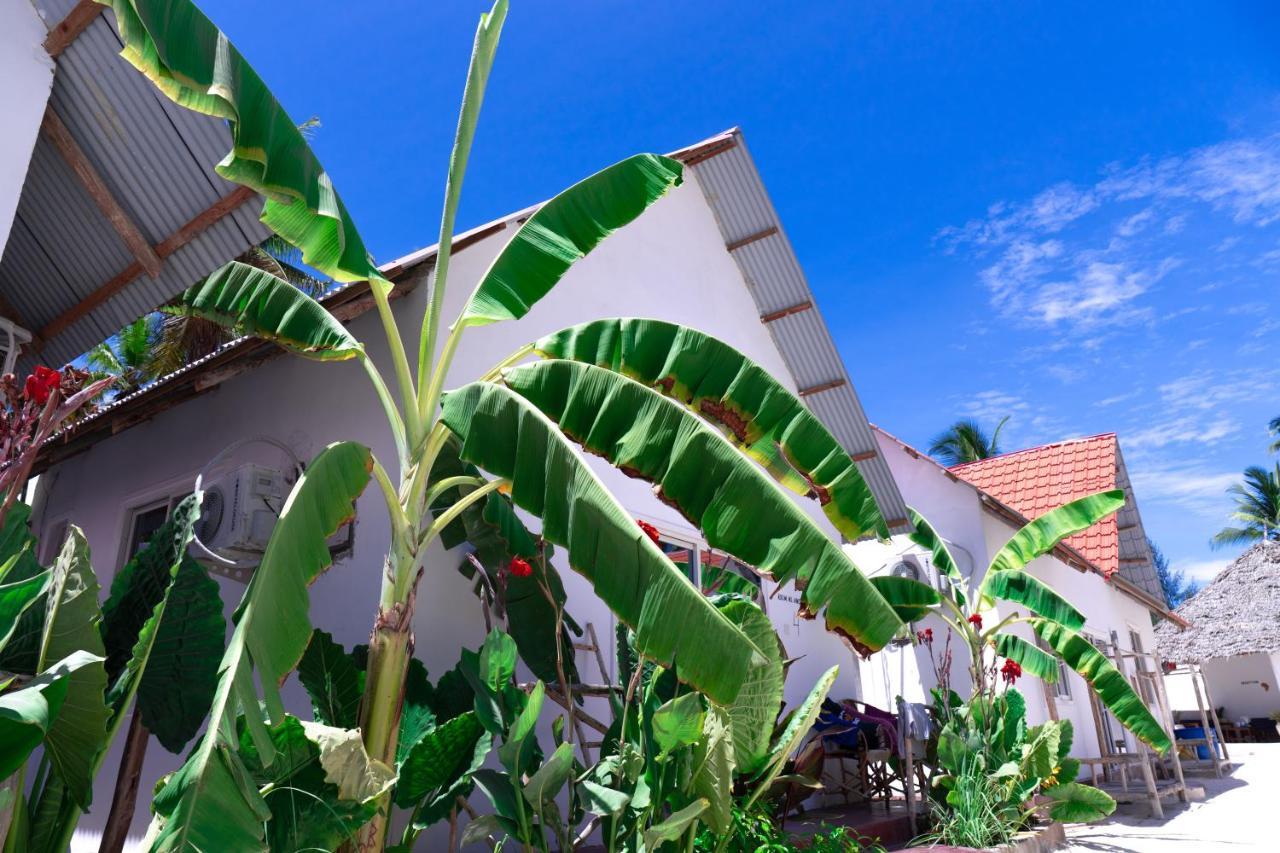 Heart Of Zanzibar Bungalows Paje Ngoại thất bức ảnh