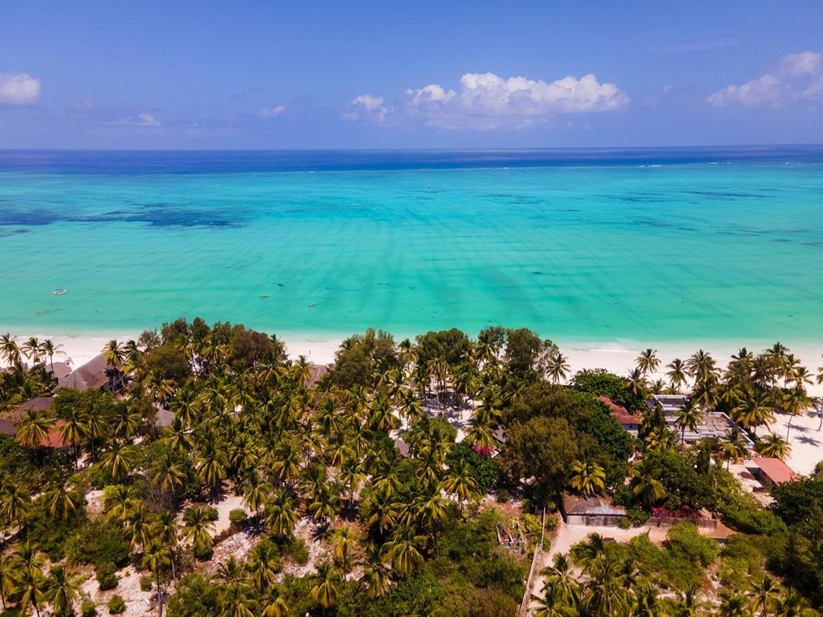 Heart Of Zanzibar Bungalows Paje Ngoại thất bức ảnh